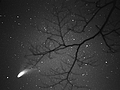 fotografia kosmos komety kometa astrofotografia buczek Buczek paweł buczkowski