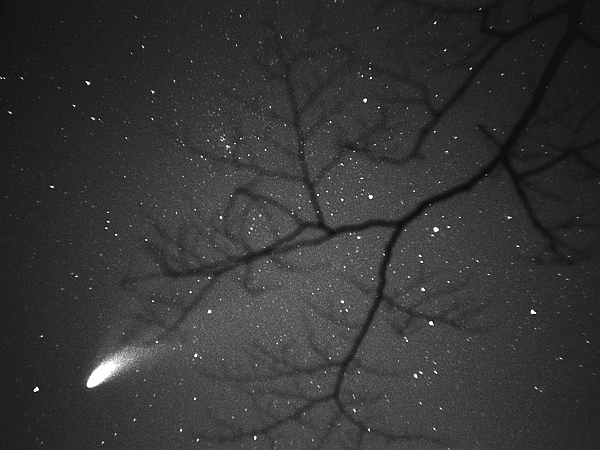 fotografia astrofotografia kosmos kometa Hale-Boppa buczek Buczek paweł buczkowski